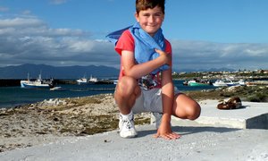 Opgewonde Besoekertjie